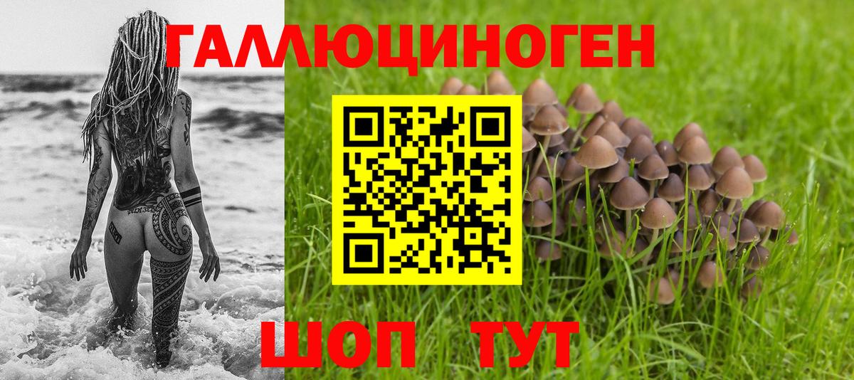 Галлюциногенные грибы Psilocybe  Вход с VPN  Псилоцибиновые грибы ЛСД  Грозный 