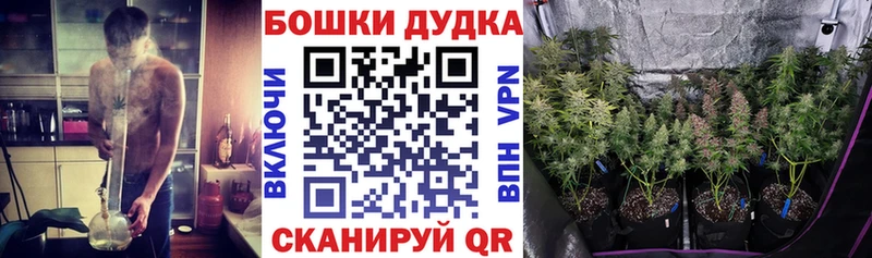 купить закладку Грозный МАРИХУАНА индика